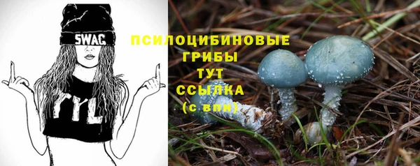 jwh Володарск