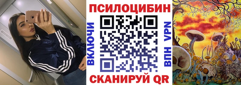 hydra рабочий сайт  Славянск-на-Кубани  Галлюциногенные грибы Psilocybine cubensis 